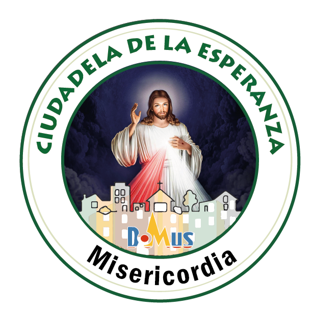 logo domus misericordia