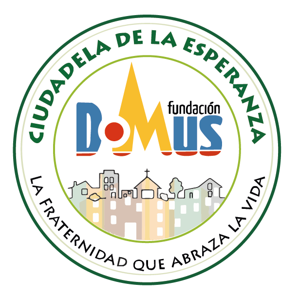 logo domus principal