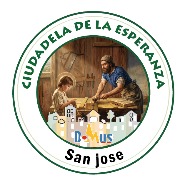 logo domus san jose